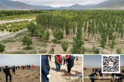 守護生命奇跡 奇瑞汽車攜手公益行動推動普氏野馬與雙峰野駱駝保護及資源再生技術(shù)研發(fā)